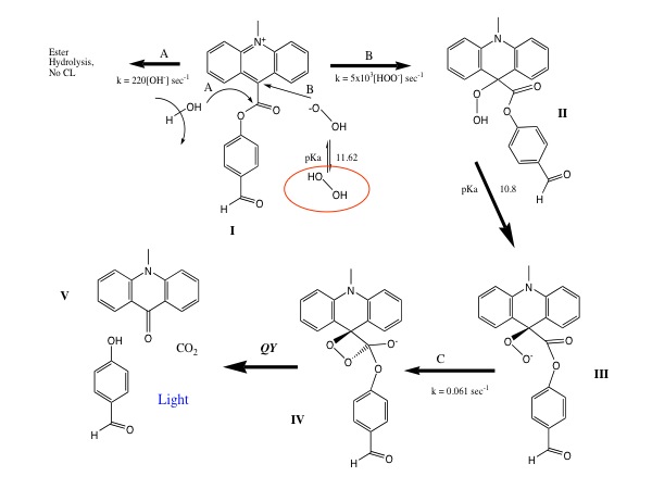 HOOH chemistry